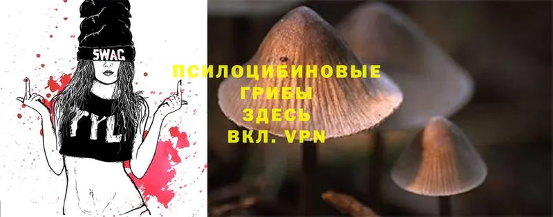 это какой сайт  Анжеро-Судженск  Галлюциногенные грибы Magic Shrooms 